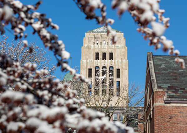 The top of Burton Tower seen through snow-covered branches